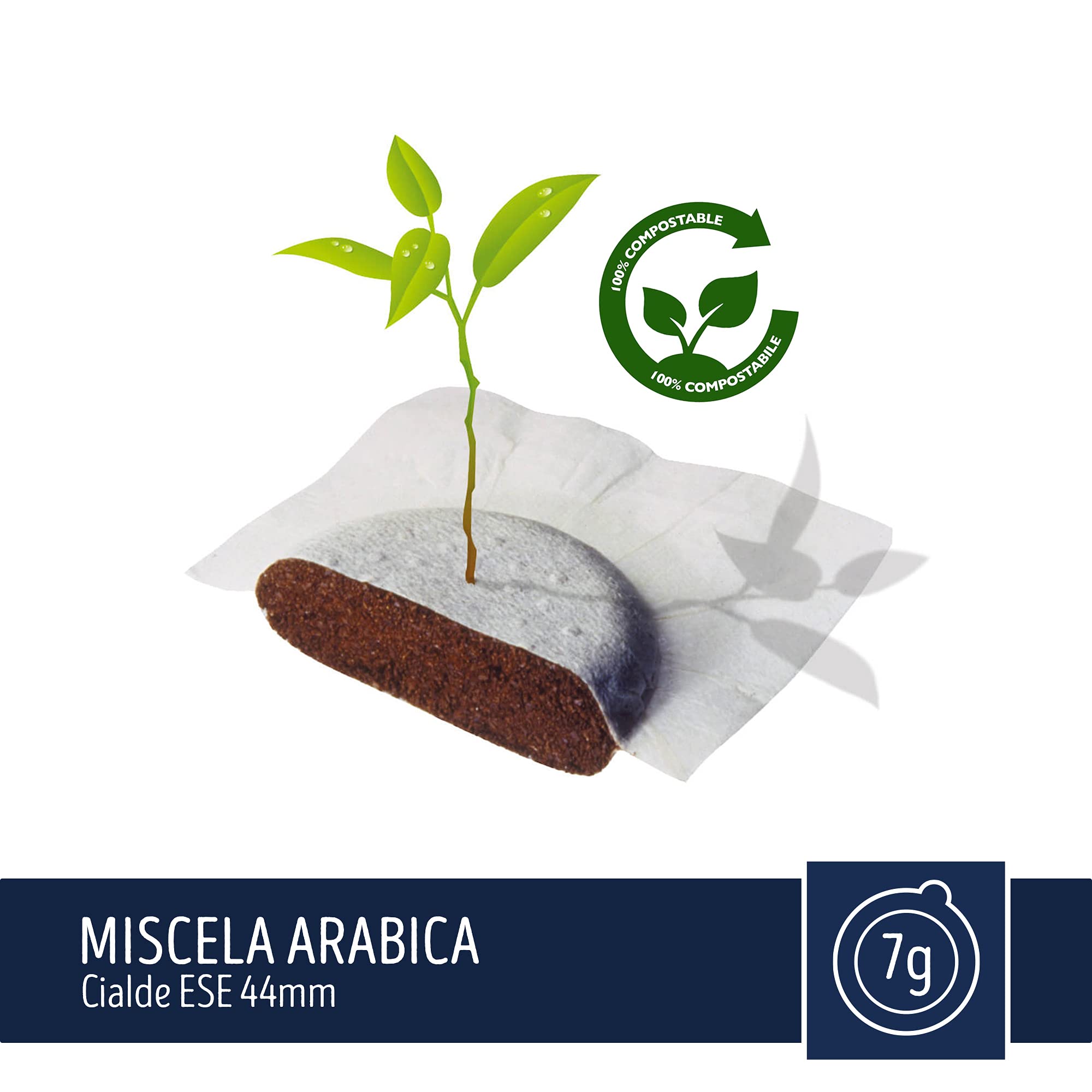 caff-toraldo-miscela-arabica-cialde-ese-44-mm-50-cialde image 6