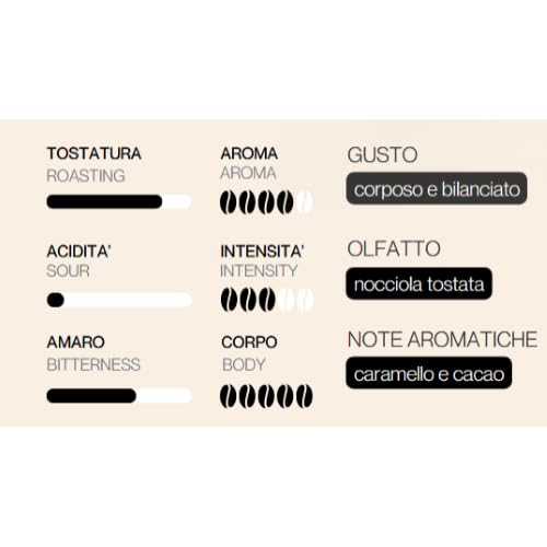 caff-motta-miscela-espresso-barista-170-cialde-ese-44mm-150-20-omaggio image 2